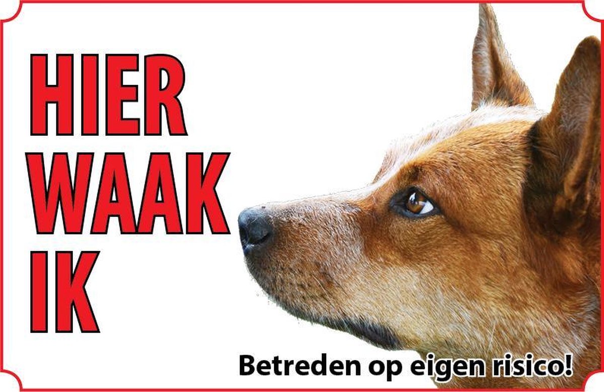 Bord - Hond-Australian-kelpie
