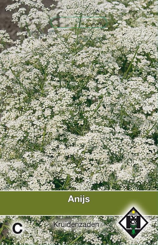 Van Hemert & Co - Anijs (Pimpinella anisum)