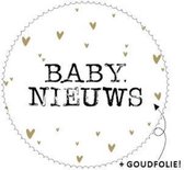 sticker Baby Nieuws sluitzegels cadeausticker geboorte kaartje 12 stuks