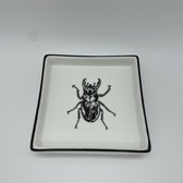 Mica Decorations insect schaal - Vierkant - Keramiek - Kever design - Wit