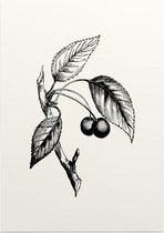 Zoete Kers zwart-wit (Gean) - Foto op Posterpapier - 42 x 59.4 cm (A2)