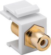 Goobay Keystone module F (v) - Tulp RCA (v) audio links (wit) verguld / wit