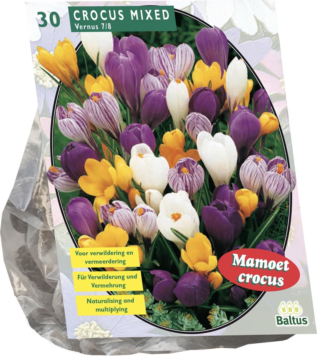 Crocus Grootbloemig, Mix per 30| Bloembollen | Flower bulbs | Najaarsbloeier |Bulb les fleurs