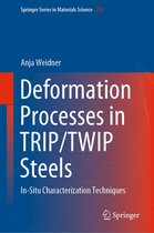 Springer Series in Materials Science 295 - Deformation Processes in TRIP/TWIP Steels