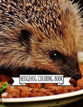 Hedgehog Coloring Book