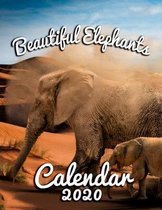 Beautiful Elephants Calendar 2020: Monthly Desk Calendar Featuring the World's Most Intriguing Mammal