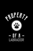 Property of a Labrador: Office Notebook - Writing Creativity