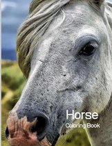 Horse Coloring Book