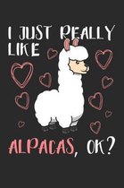 I Just Really Like Alpacas, OK?