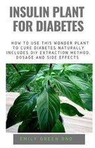 Insulin Plant for Diabetes