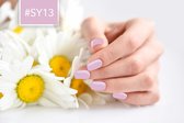 Saviland – Acrylgel - Polygel – Kleur Pink Mauve – Nail Art