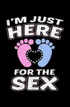 I'm Just Here for the Sex: A Journal, Notepad, or Diary to write down your thoughts. - 120 Page - 6x9 - College Ruled Journal - Writing Book, Per