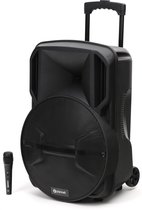 Platinet PMG230 Bluetooth Party speaker en Karaoke speaker 40W met batterij, microfoon en discoverlichting zwart
