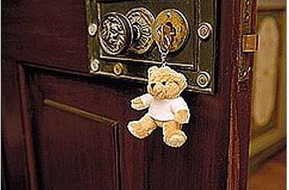 Porte-clés Ourson En Peluche : Mignon, Doux Et Personnalisable - 4