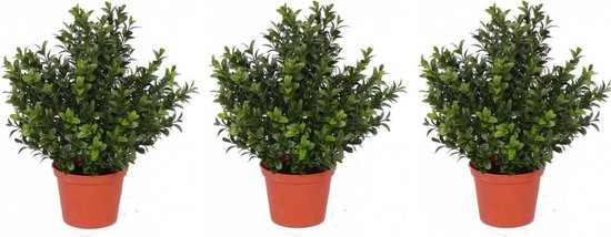 Set van 3x groene Buxus kunstplanten pot 31 cm - Kantoor/huiskamer bol.com