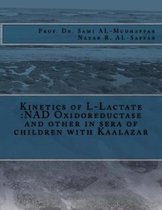 Kinetics of L-lactate