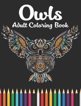 Owls adult coloring book
