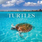 Turtles Calendar 2020