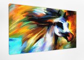 Braveprint - Schilderij - Paard Schilderij. % Uitgerekt Het Hoge Kwaliteit. Muurhanger Geïnstalleerd. - Multicolor - 80 X 120 Cm