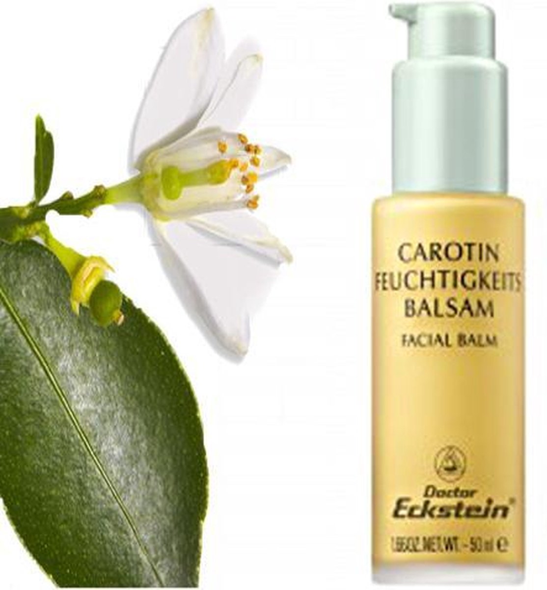 Dr Eckstein - Carotin vocht balsam 50 ml