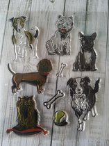 Stempel, clear stamp, honden