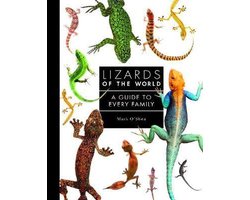 Omslag van Lizards of the World