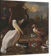 Het drijvend veertje, Melchior de Hondecoeter - Foto op Canvas - 100 x 100 cm