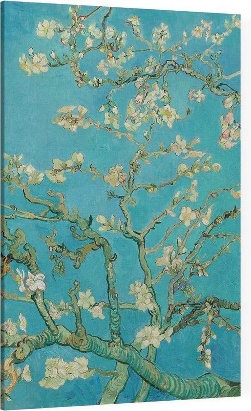 Amandelbloesem, Vincent van Gogh - Foto op Canvas - 40 x 60 cm | bol.com