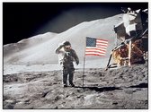 Astronaut gives salute beside U.S. flag (maanlanding) - Foto op Akoestisch paneel - 80 x 60 cm