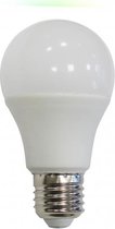 LED Lamp E27 | Peer | Milky | 11W | Verhuislamp