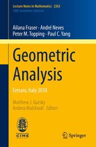 Lecture Notes in Mathematics 2263 - Geometric Analysis