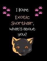 I love Exotic shorthair, What's about you?