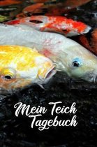 Mein Teich Tagebuch