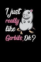 I Just Really Like Gerbils, Ok?: Cute Gerbil Mouse Notebook