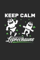 Keep calm Leprechauns: 6x9 St. Patrick's Day - grid - squared paper - notebook - notes