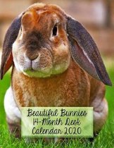 Beautiful Bunnies 14-Month Desk Calendar 2020