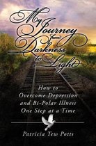 My Journey From Darkness to Light: How to Overcome Depression and Bipolar Illness One Step at A Time
