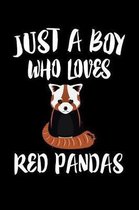 Just A Boy Who Loves Red Pandas