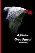 African Grey Parrot Notebook: Beautiful notebook with bird motive. 6''x9'' inch