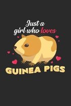 Just a girl who loves Guinea Pigs