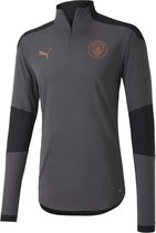 Puma Manchester City  Sportshirt - Maat XL  - Mannen - grijs/zwart/koper