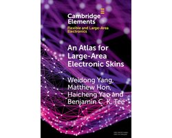 Elements in Flexible and Large-Area Electronics - An Atlas for Large-Area Electronic Skins