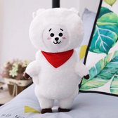 Kpop BTS BT21 Army Merchandise | RJ  Jin | Pluche Speelgoed | Mooie Kwaliteit | Pop Doll Knuffel | Korea | Hond Konijn Koala Paard Schaap | Gift voor Mezelf