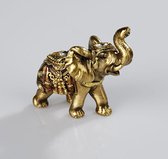 Goudkleurige olifant