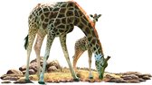 Muursticker Giraffe met jong – Safari – Vinyl – 100 x 60 cm