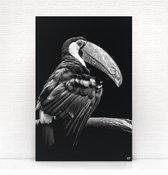 HIP ORGNL Schilderij Tucan - Toekan vogel - 100x150cm - Wanddecoratie dieren - Zwart wit