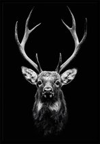 Dark Deer A2 zwart wit dieren poster