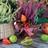 1 Pakje papieren lunch servetten - Heather Baskets - Herfst - Heide - Pompoen - Lampion vruchten