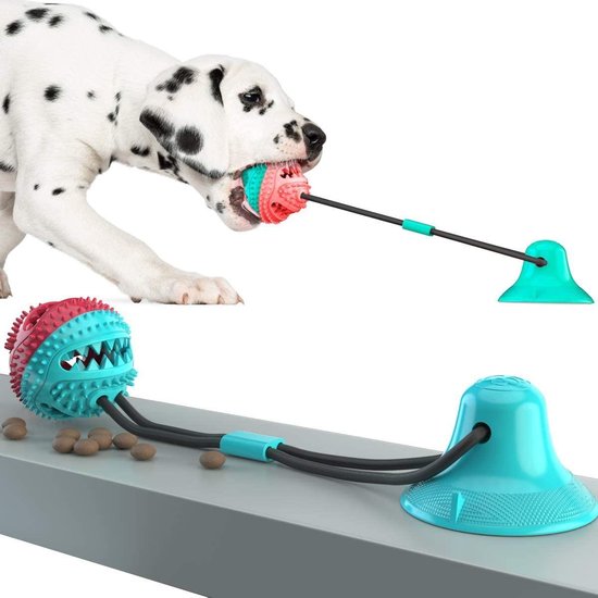 Petloverz - Honden Speelgoed - Tanden Reiniging - Snack Speeltje -  Behendigheid | bol.com