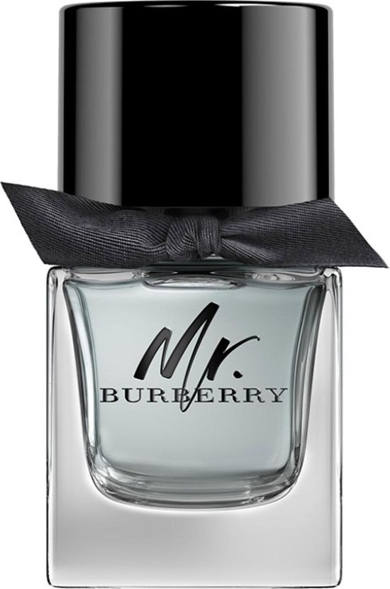 Burberry Mr Burberry - 50 ml - eau de toilette spray - herenparfum | bol